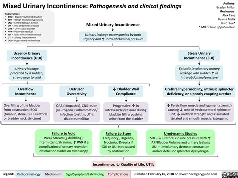 Mixed Urinary Incontinence: Pathogenesis and clinical findings ...