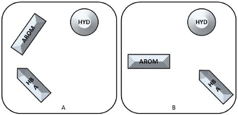 Schematic pharmacophore model for A. CYP1A2 substrates, B. CYP1A2... | Download Scientific Diagram