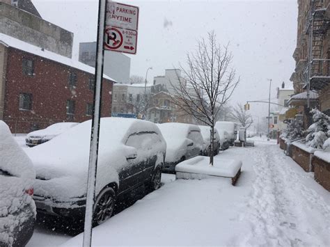 Brooklyn Snow Storm: Strong Winds Alert Issued | Brooklyn, NY Patch