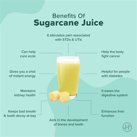 Sugarcane Juice - Benefits, Nutrition, Disadvantages - HealthifyMe