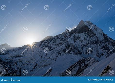 Machhapuchhre at sunrise stock photo. Image of mountain - 31009098