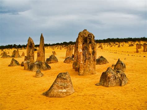 The Pinnacles Limestone Rock Formations, Western Australia Stock Image - Image of park, rainy ...