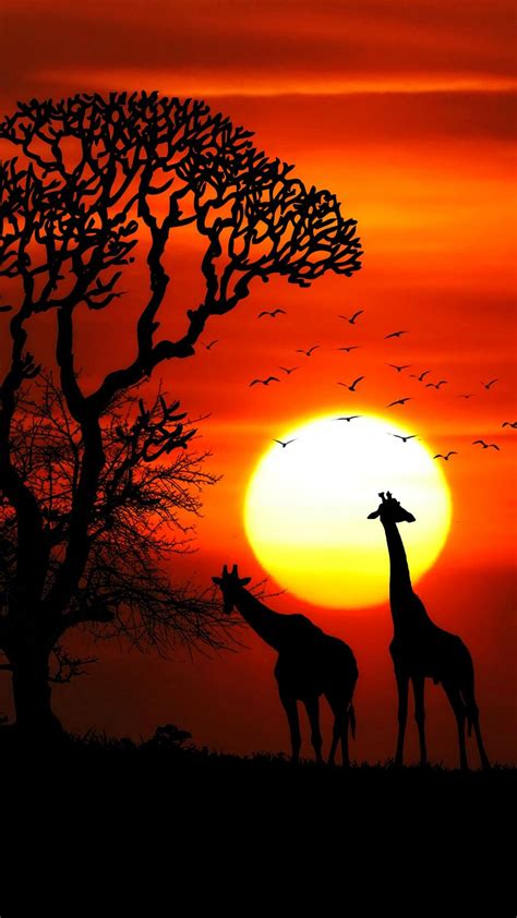 Sunset Animals Wallpapers | HD Wallpapers | ID #23093