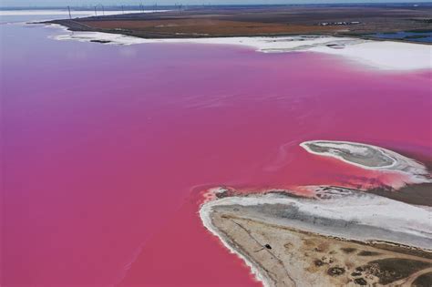 Can You Swim in a Pink Lake? - Lake Access