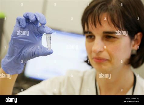 Extraction of DNA from lung tumor biopsies for EGFR gene mutation study for possible treatment ...