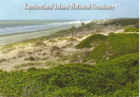 MY POSTCARD-PAGE: USA ~Cumberland Island National Seashore