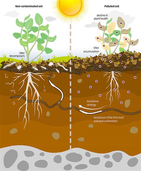 Causes Of Soil Pollution