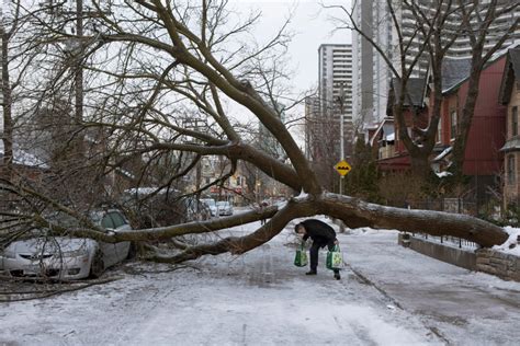 Toronto manager says 'not currently necessary' to declare state of ...