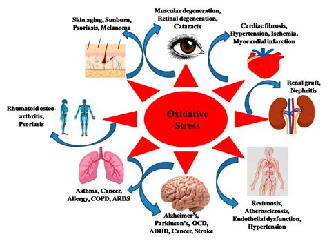 Reduce Oxidative Stress with Tai Chi | Contemplative Studies