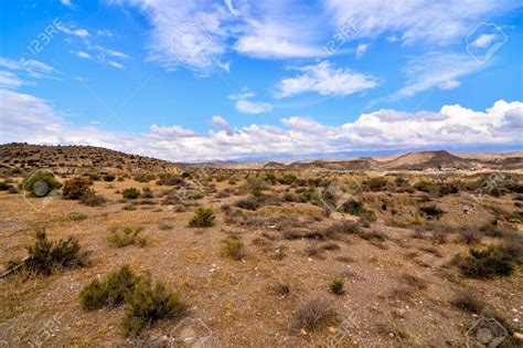 arid landscape - Google Search | Landscape, Natural landmarks, Country roads