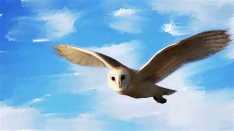 Owl Flying Painting at PaintingValley.com | Explore collection of Owl ...