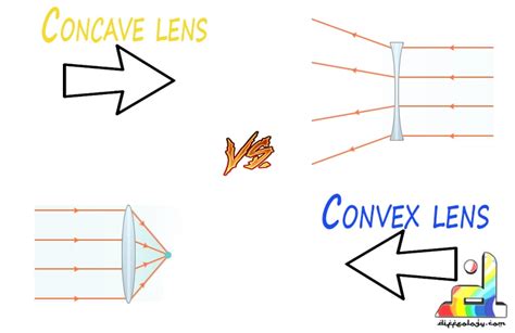 Difference Between Concave And Convex Lenses | Diffeology