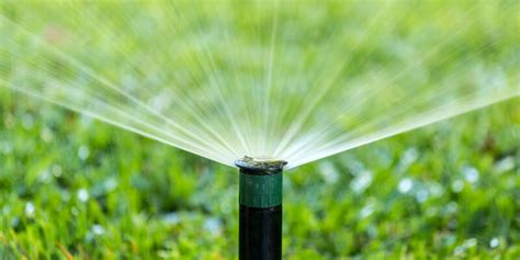 Lawn Irrigation Services in Derry, NH | Groundhog Turf Care