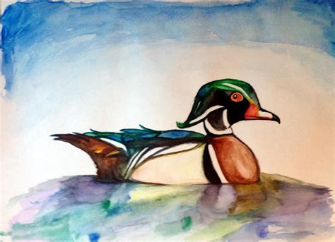 Watercolor Wood Duck by ManicMagician on DeviantArt