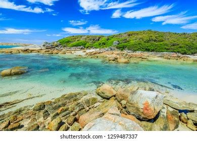 5 Madfish island Images, Stock Photos & Vectors | Shutterstock