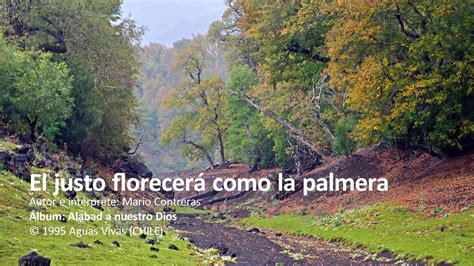 El justo florecerá como la palmera - YouTube