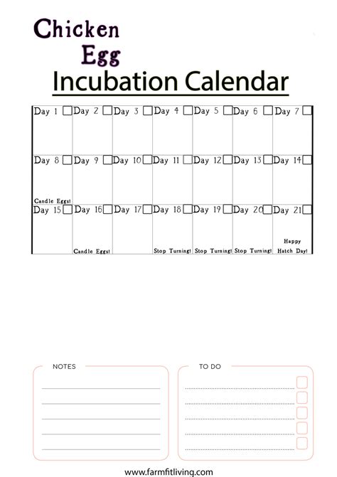 Chicken Egg Incubation Chart & Calendar Set – Farm Fit Living