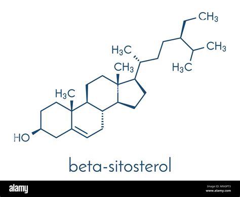 Beta Sitosterol Review, Beta Sitosterol Benefits, Dosage