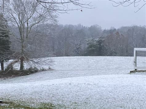 PHOTOS: Snowfall across Middle Tennessee | WKRN News 2