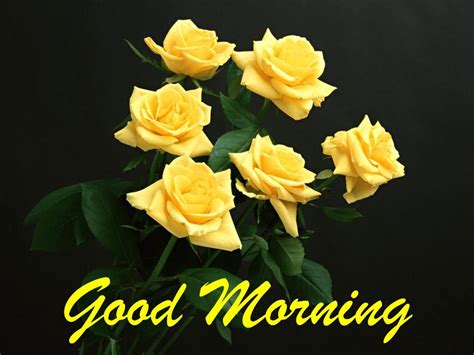 Good Morning With Bunch Of Yellow Roses