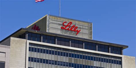 Eli Lilly Stock Rises on Digital Healthcare Experience Launch - Barron's