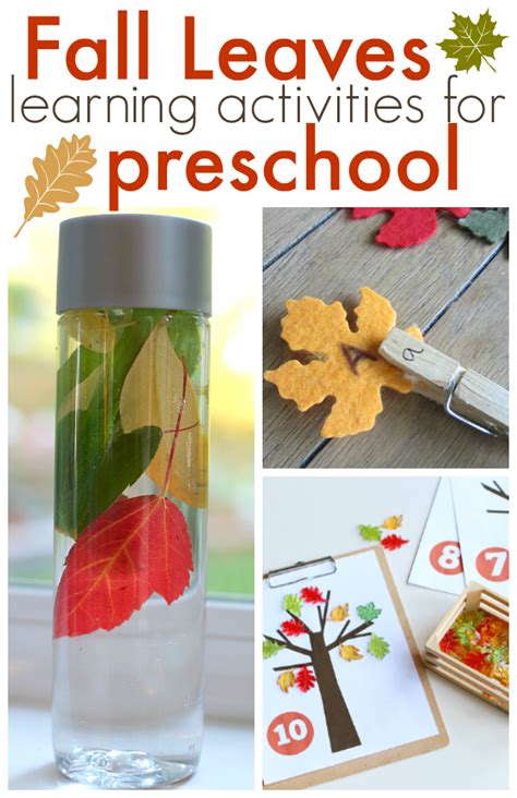 Fall Leaves Activities for Preschool - Free Printables and More!