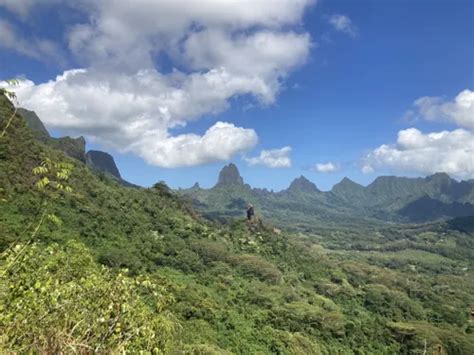 10 Best Trails and Hikes in Moorea | AllTrails