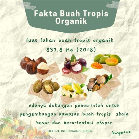 Pin oleh Edukasi Pertanian Organik di Daerah Produksi Pertanian Organik ...