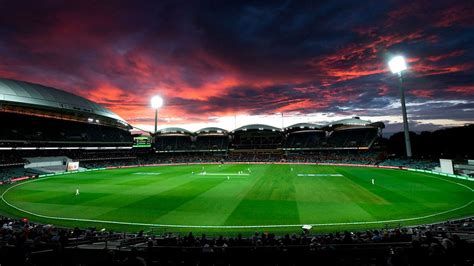 Australia men's squad to quarantine and train at Adelaide Oval on return from England | ESPNcricinfo