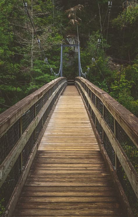 Tallulah Gorge Suspension Bridge | This bridge is 80 feet ab… | Flickr