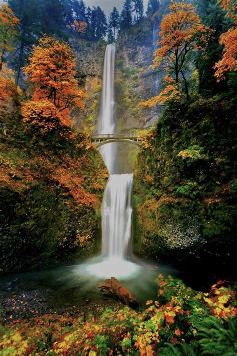 Waterfall at autumn | Autumn scenery, Beautiful nature, Beautiful waterfalls