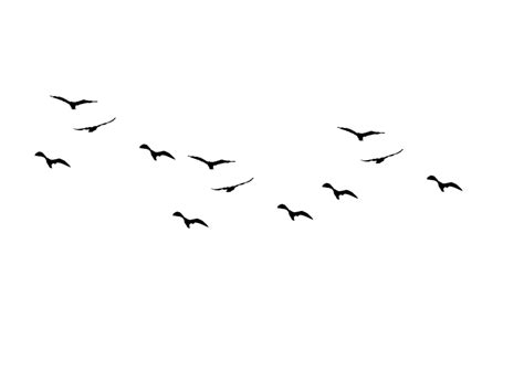 Free Birds Flying Away Silhouette, Download Free Birds Flying Away ...