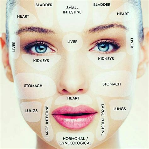 Why am I breaking out? Our face breakouts aren't only annoyances, they ...