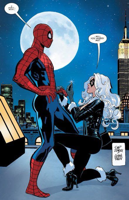 🦋 on Twitter | Black cat marvel, Spiderman black cat, Spectacular spider man