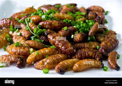 Fried bamboo worms Stock Photo - Alamy