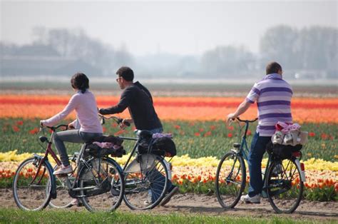 Cycling Holiday Netherlands • Tulip Tour • Dutch-Biketours