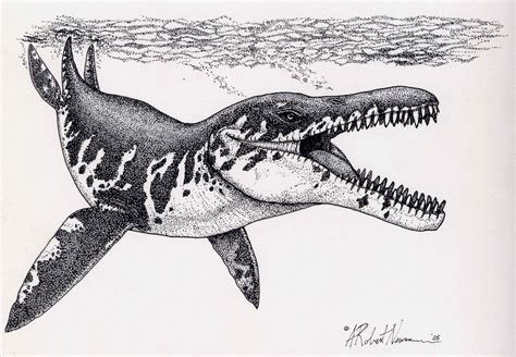 Giant Pliosaur by ARNeumann on DeviantArt