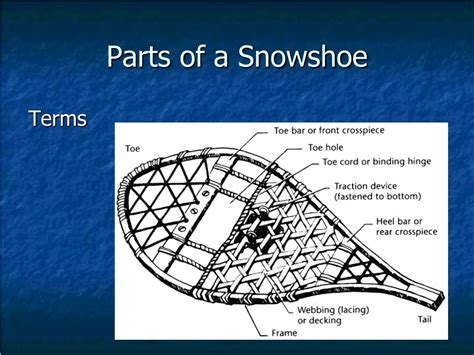 PPT - Let’s Go Snowshoe Hiking! PowerPoint Presentation, free download - ID:3549618