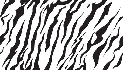 Tiger Stripe Background Clipart With A Large