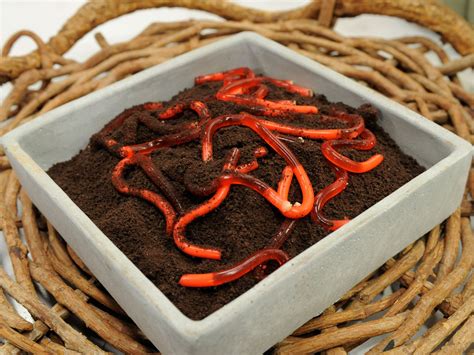 Jelly Worms in Dirt | Recipe | Jelly worms, Food network recipes, Dirt recipe