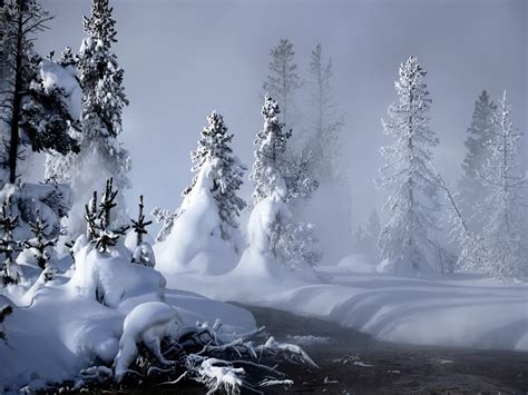 Wallpapers: Winter Scenery