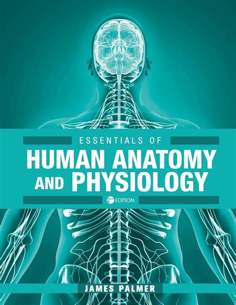 Essentials of Human Anatomy and Physiology (Paperback) - Walmart.com ...