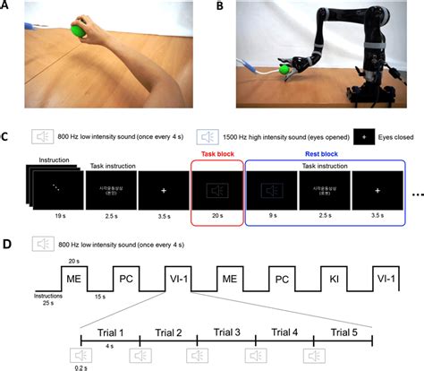 Task guidance and design for the fMRI experiment. Video guidance was... | Download Scientific ...