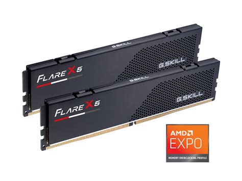 G.SKILL Flare X5 series AMD EXPO 32GB (2 x 16GB) 288-Pin PC RAM DDR5 5600 (PC5 44800) Desktop ...