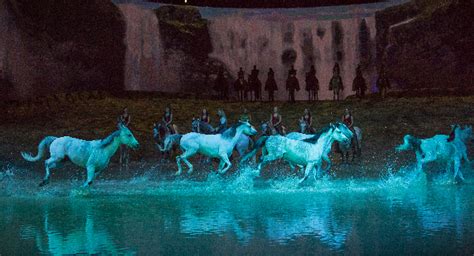 Theater Review: CAVALIAâ€™S ODYSSEO (North American Tour)