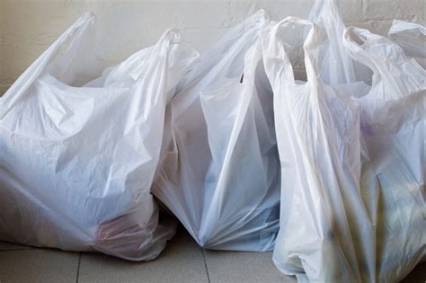 12 Ways To Reuse Plastic Shopping Bags » STRONGER