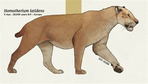 Homotherium Latidens | Animales prehistóricos, Dibujos de animales, Animales de la prehistoria