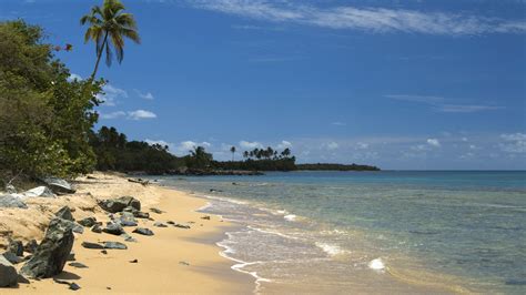 Punta Arenas | | Attractions - Lonely Planet