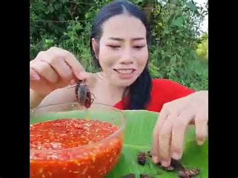 INSECT MUKBANG - YouTube