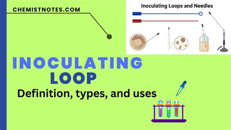 Inoculating Loop: Definition, Types, and Reliable Uses - Chemistry Notes